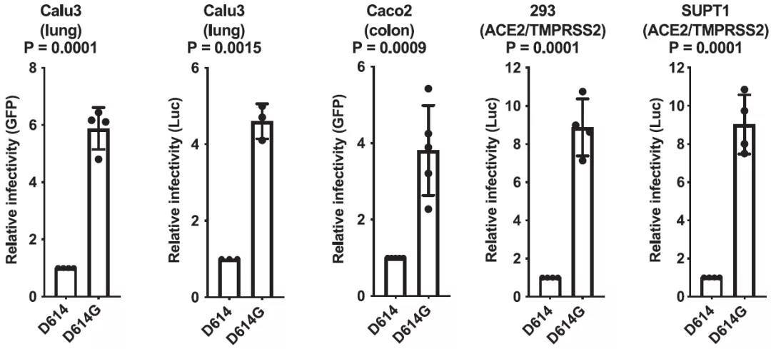1603440900447589.jpg 1603440900447589.jpg