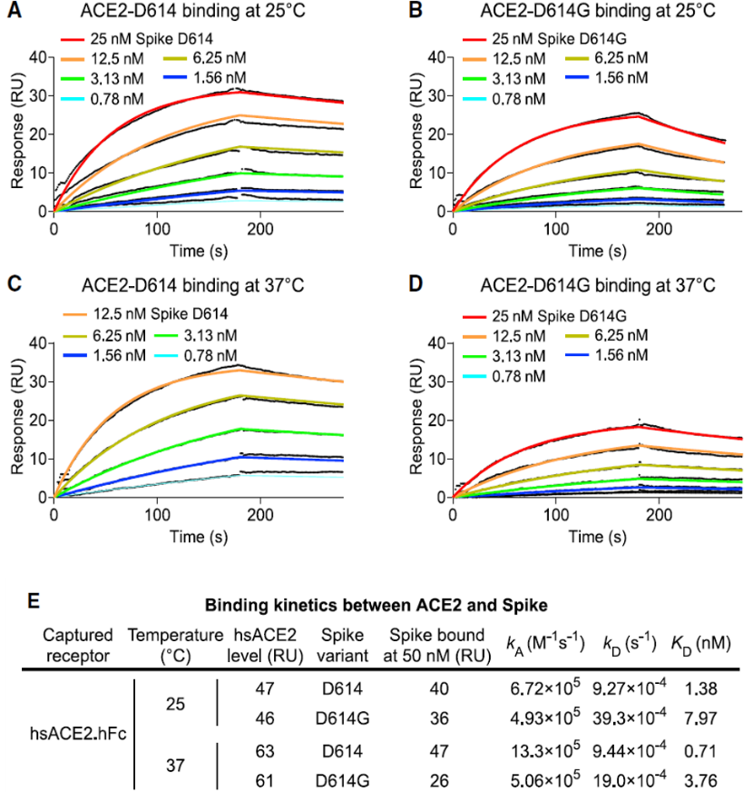 1603440948407199.png 1603440948407199.png