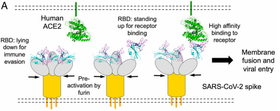 1603441109860063.png 1603441109860063.png