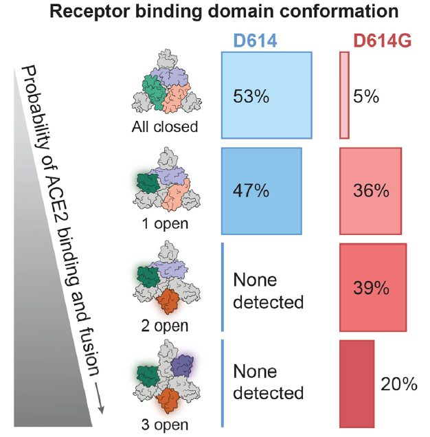 1603441156377790.png 1603441156377790.png